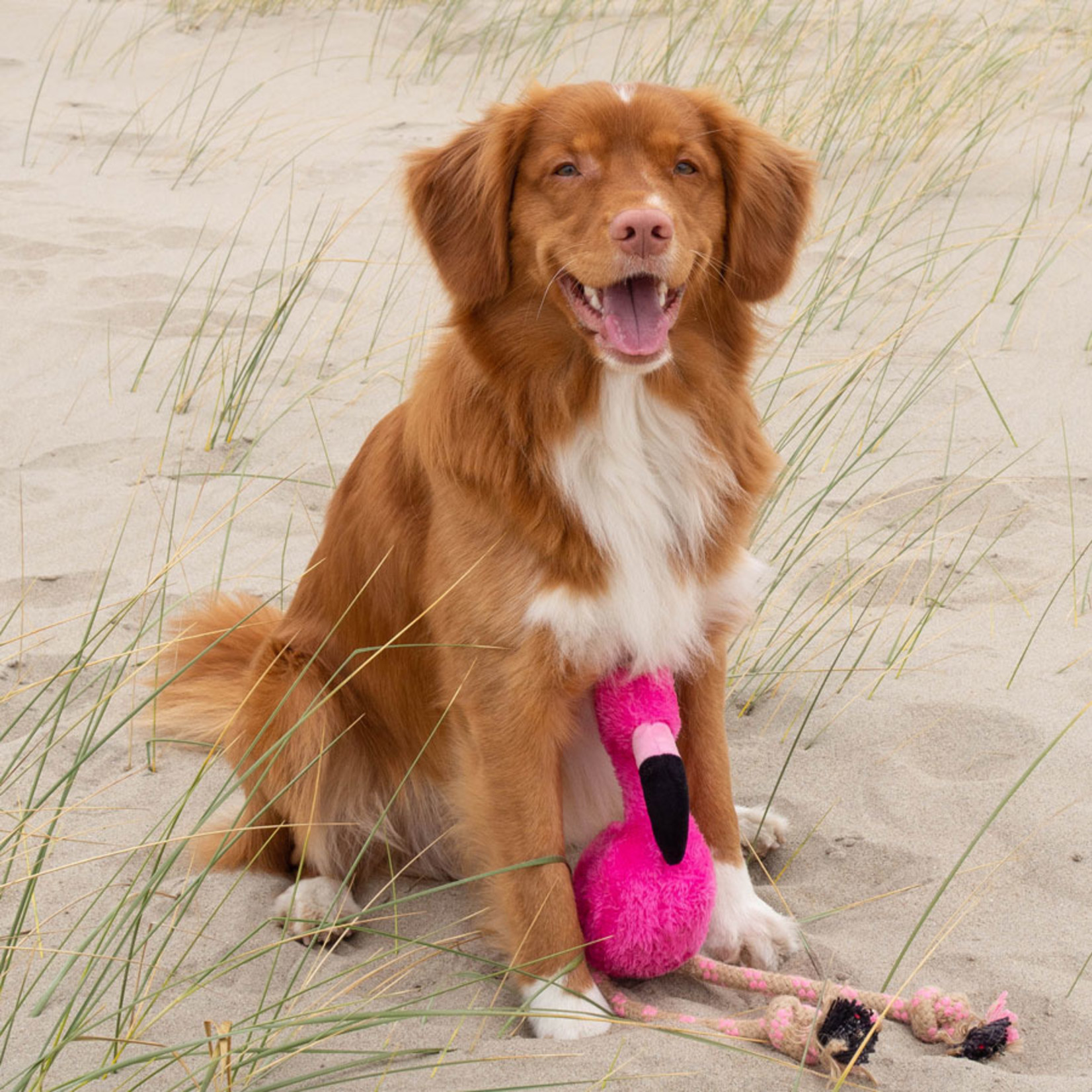 Beco Pets Beco Flamingo Medium Dog Toy