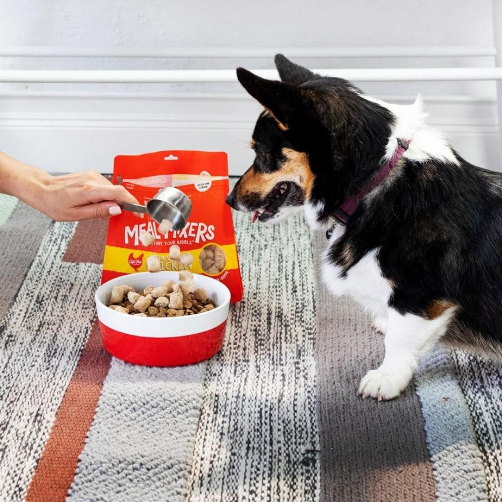 Stella & Chewy's Stella & Chewy's freeze dried meal mixers Chicken 8 oz