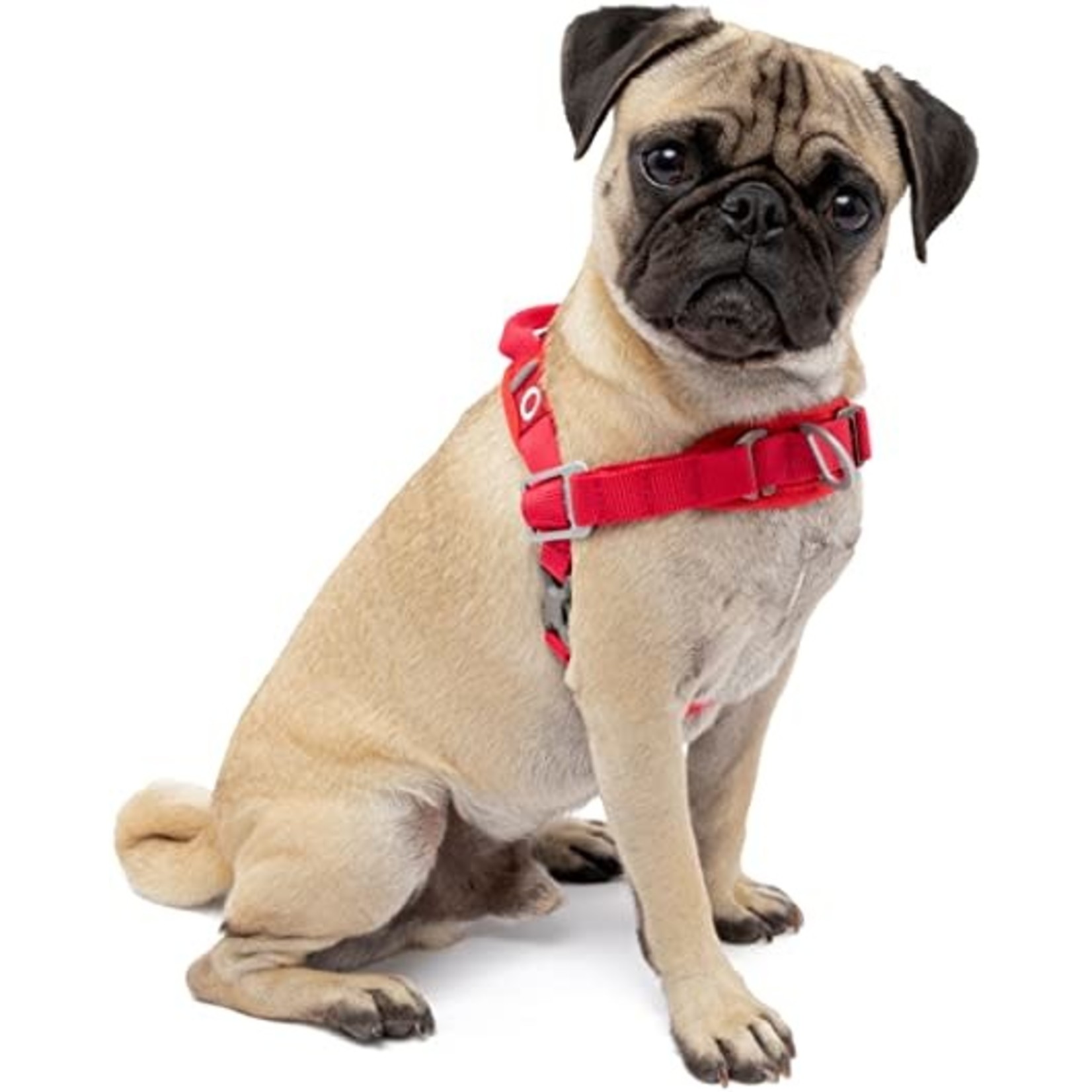 Kurgo No Pull Harness  Chili/Barn Red