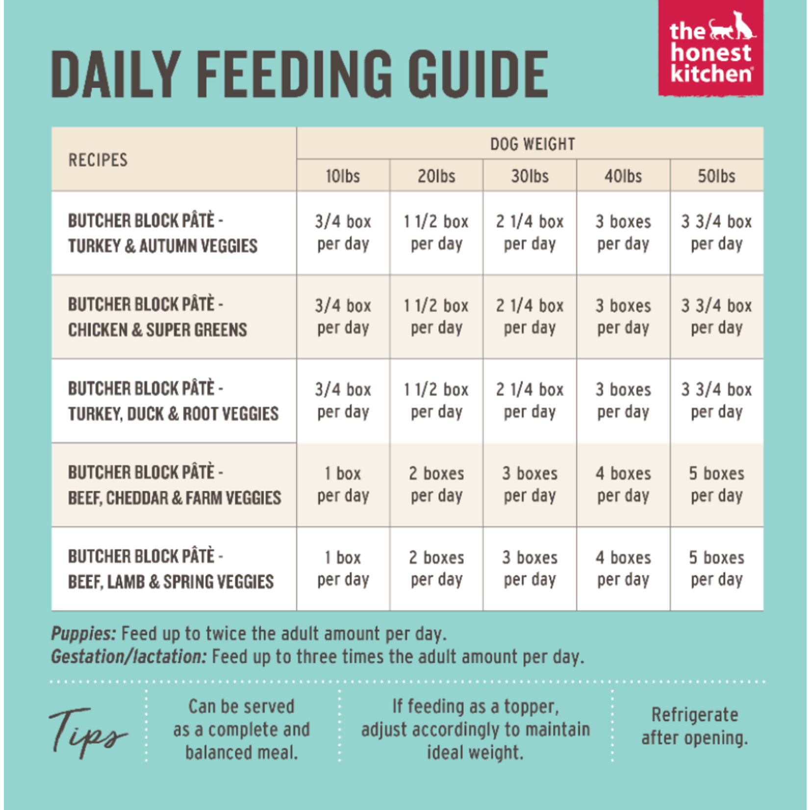 The honest kitchen Dog Pate Beef Lamb & Spring Veg 10.5oz Pet Station