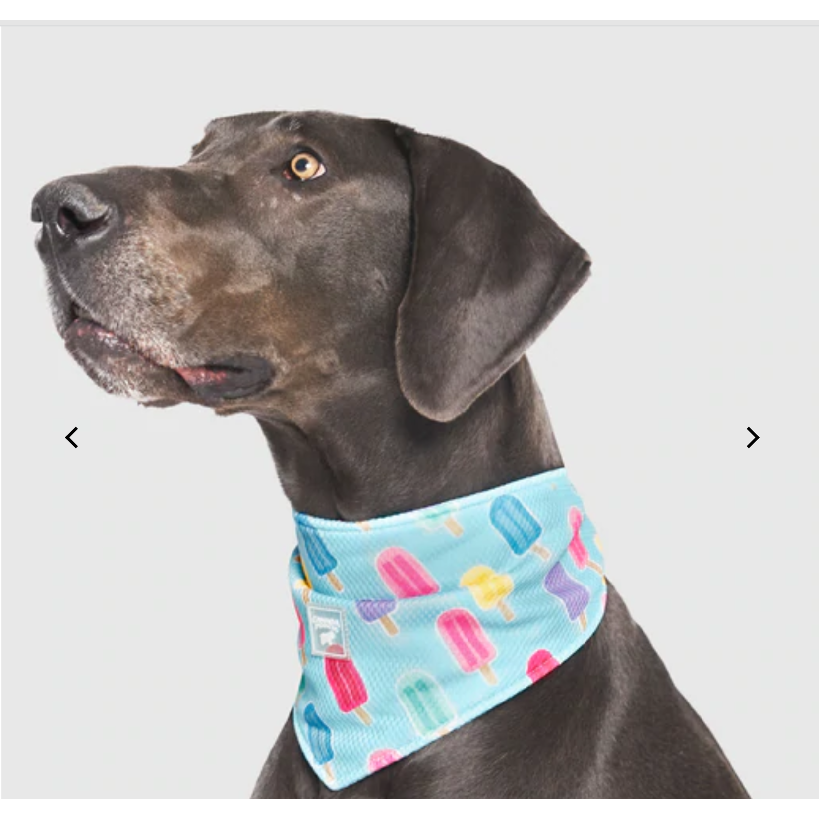 Canada Pooch Canada Pooch Cooling Bandana Popsicles