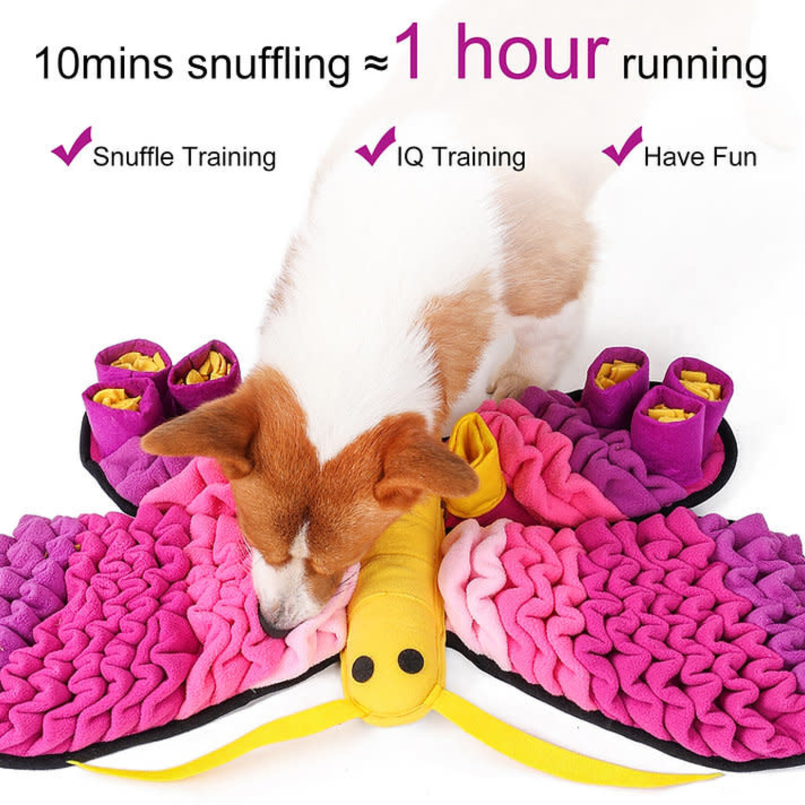 Snuffle Mat Butterfly Level 2 Pet Station