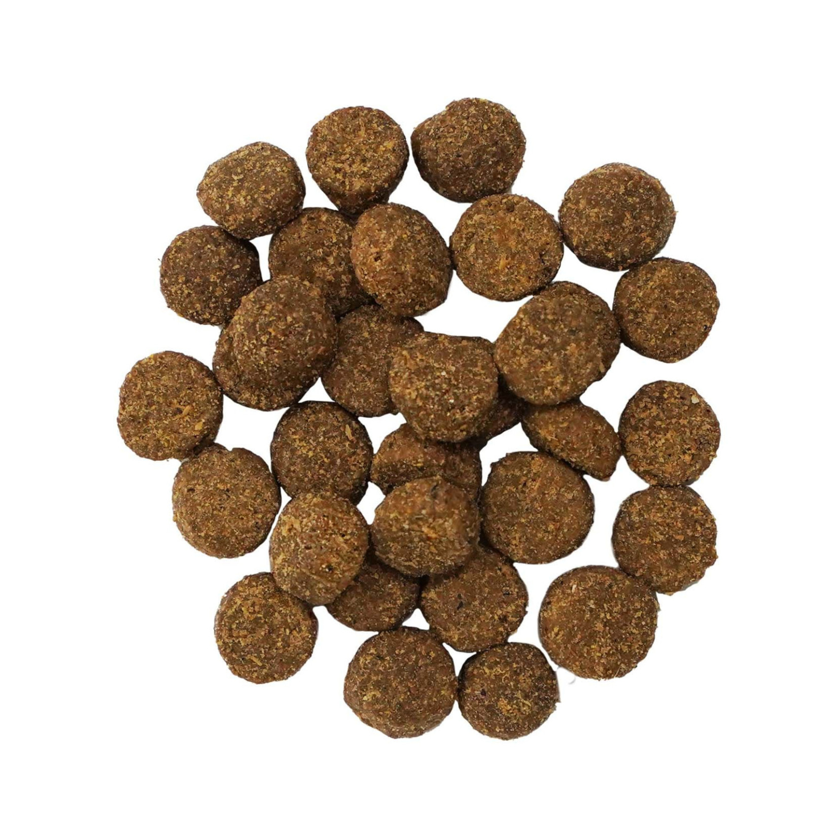 go! solutions Go! dog digestion and gut health Salmon & Ancient grains recipe