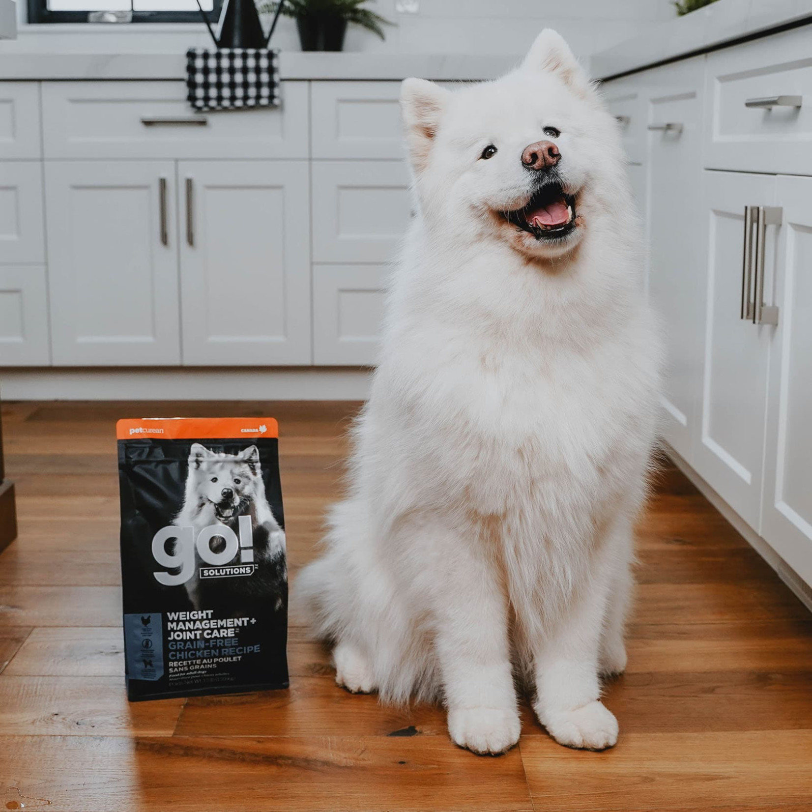 go! solutions Go! dog weight management and joint care grain free chicken recipe