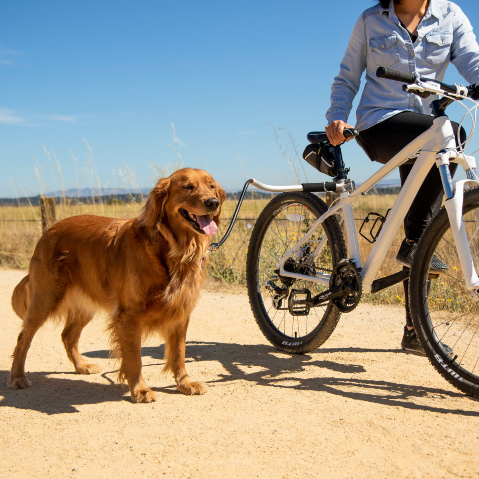 Sherpa Cycleash Dog Bike Leash  16in x 5in x 1.9in