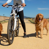 Dog bike lead 2025