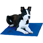 K&H Pet Cooling Pad Blue