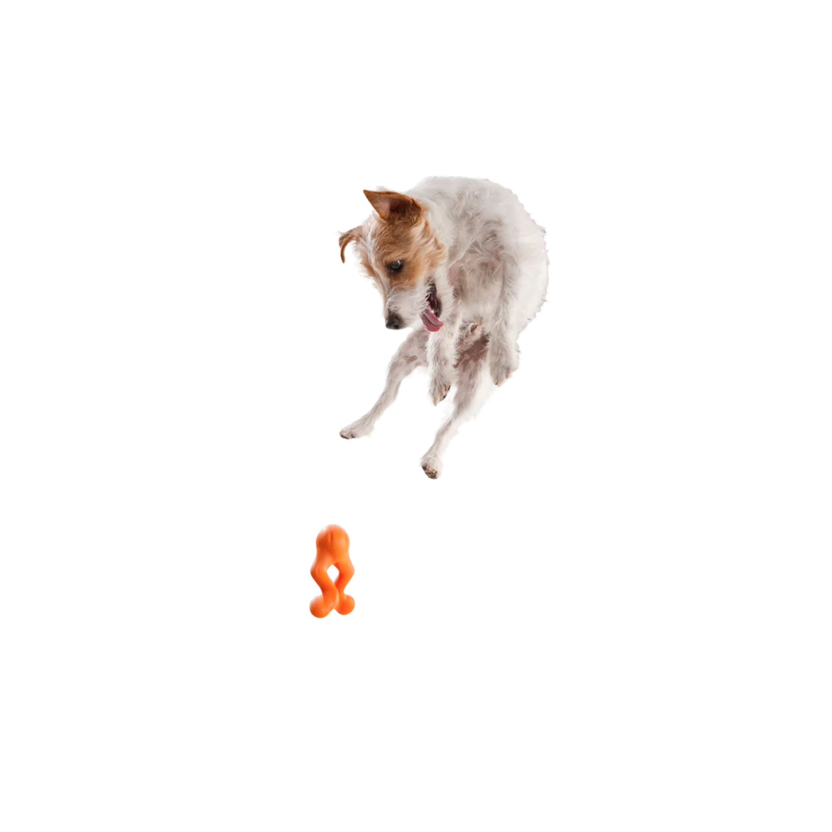 West Paw Tizzi Large 7"- orange dog toy