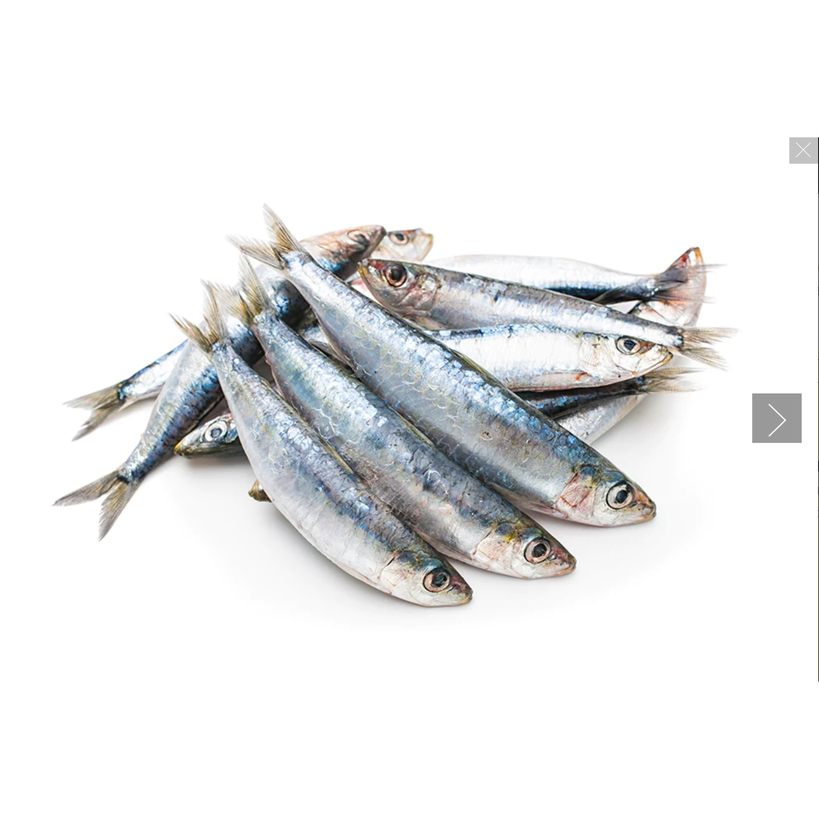 AVAILABLE IN-STORE Iron Will Raw frozen Sardines 1lb