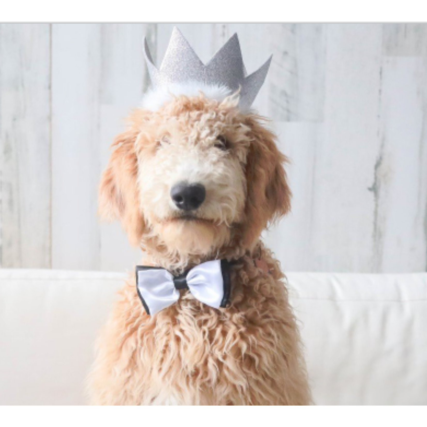 Party Crown Gold