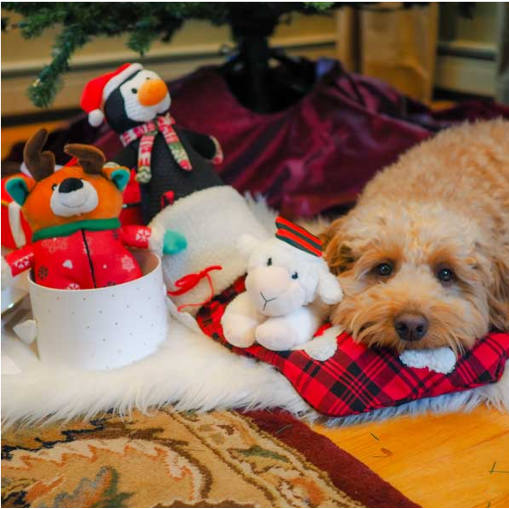 XMAS Reindeer Prickle Ball in Onesie