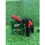 Christmas Ornament Black Labrador