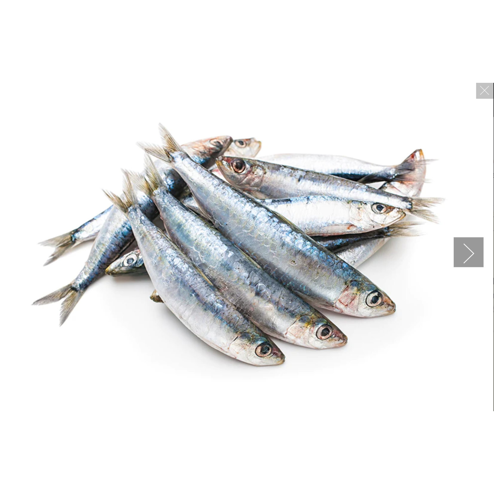 Iron Will Raw frozen Sardines 1lb