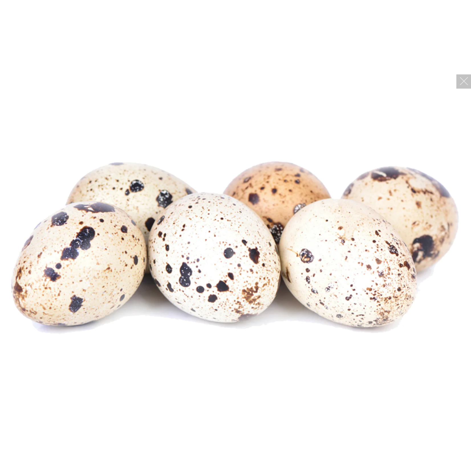 Iron Will Raw frozen Quail eggs Dog / Cat 18ct