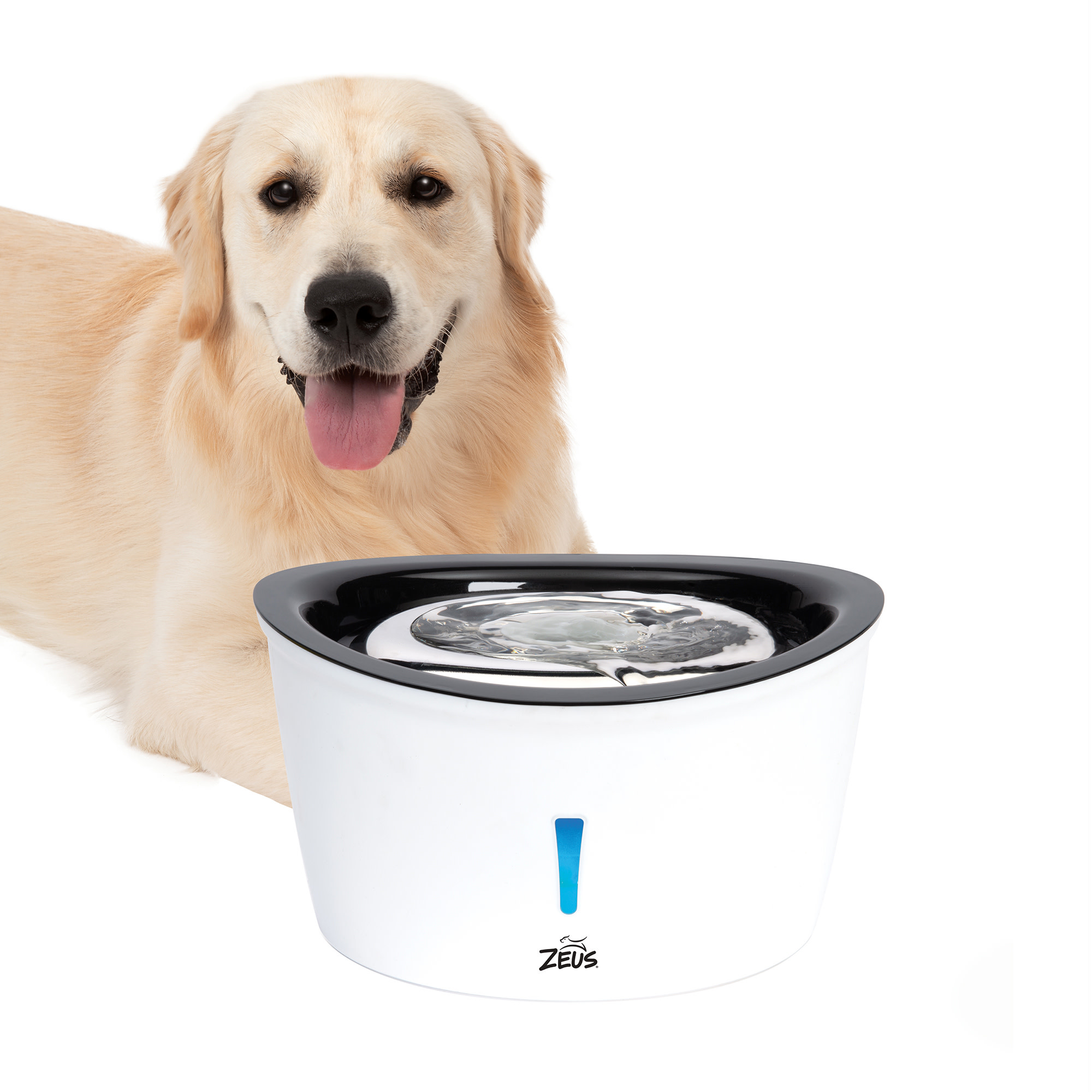 Dog fountain hotsell