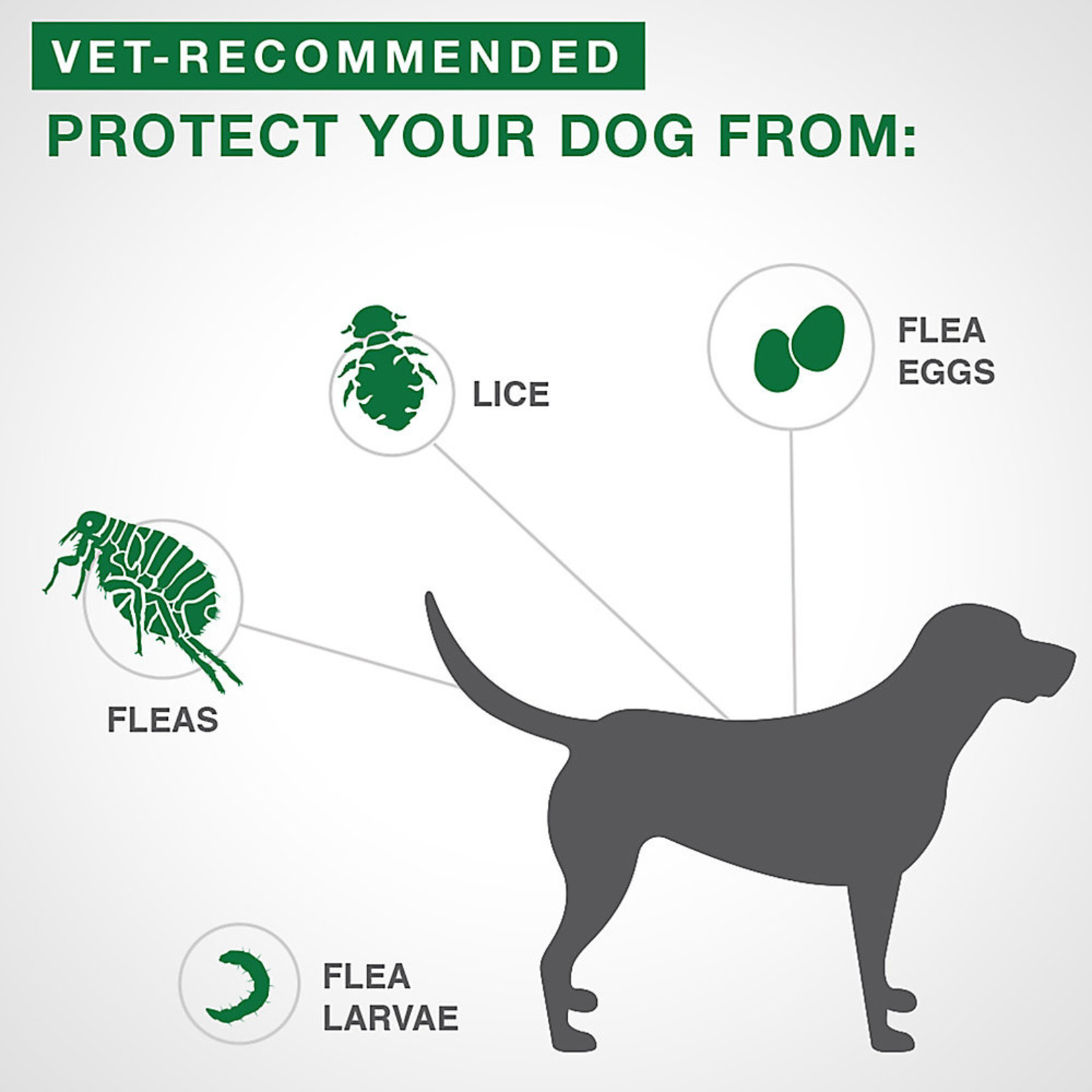 K9 Advantage Flea protection drops for Dogs (2 Dosage)