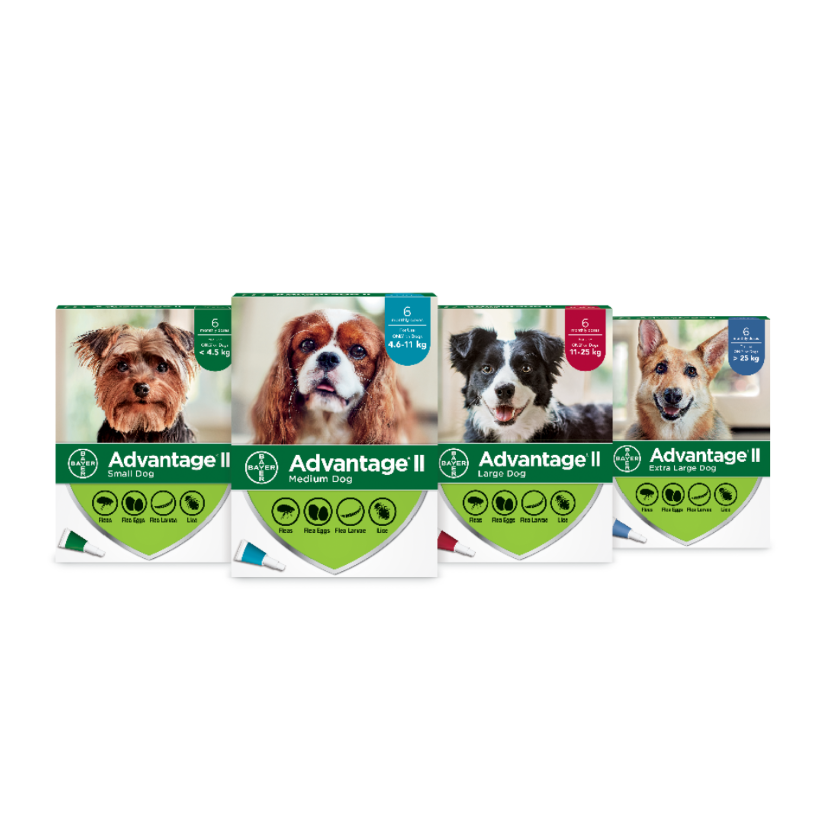 Advantage 2 extra large dog online