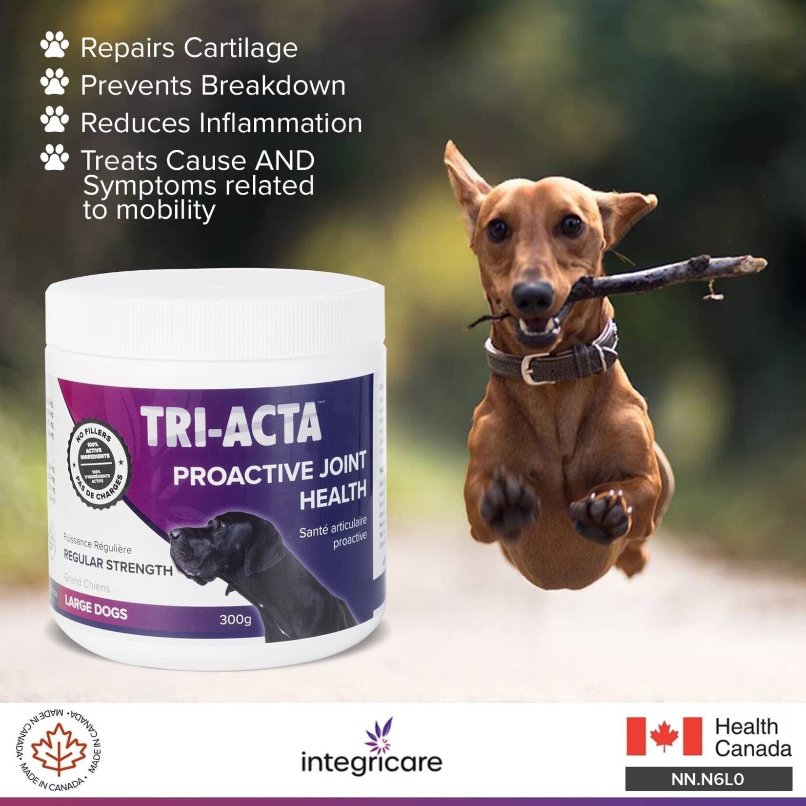 Tri-Acta Regular Strength  Joint Health + Mobility 300g  For Large Dogs