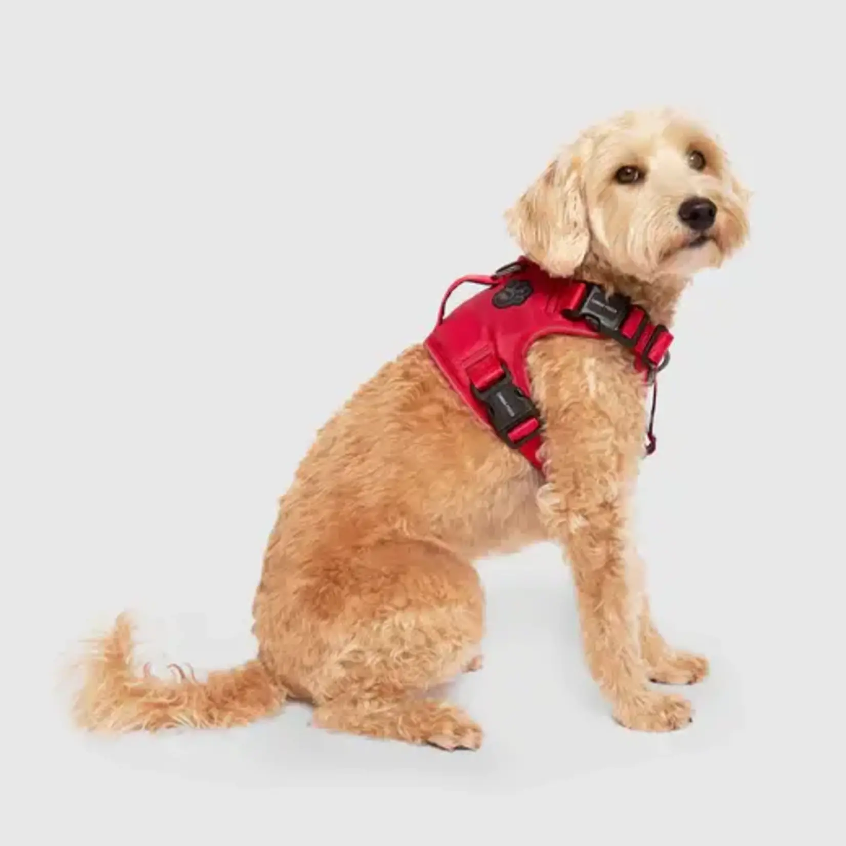 Canada Pooch Canada pooch Core Complete control Double Click Harness Red