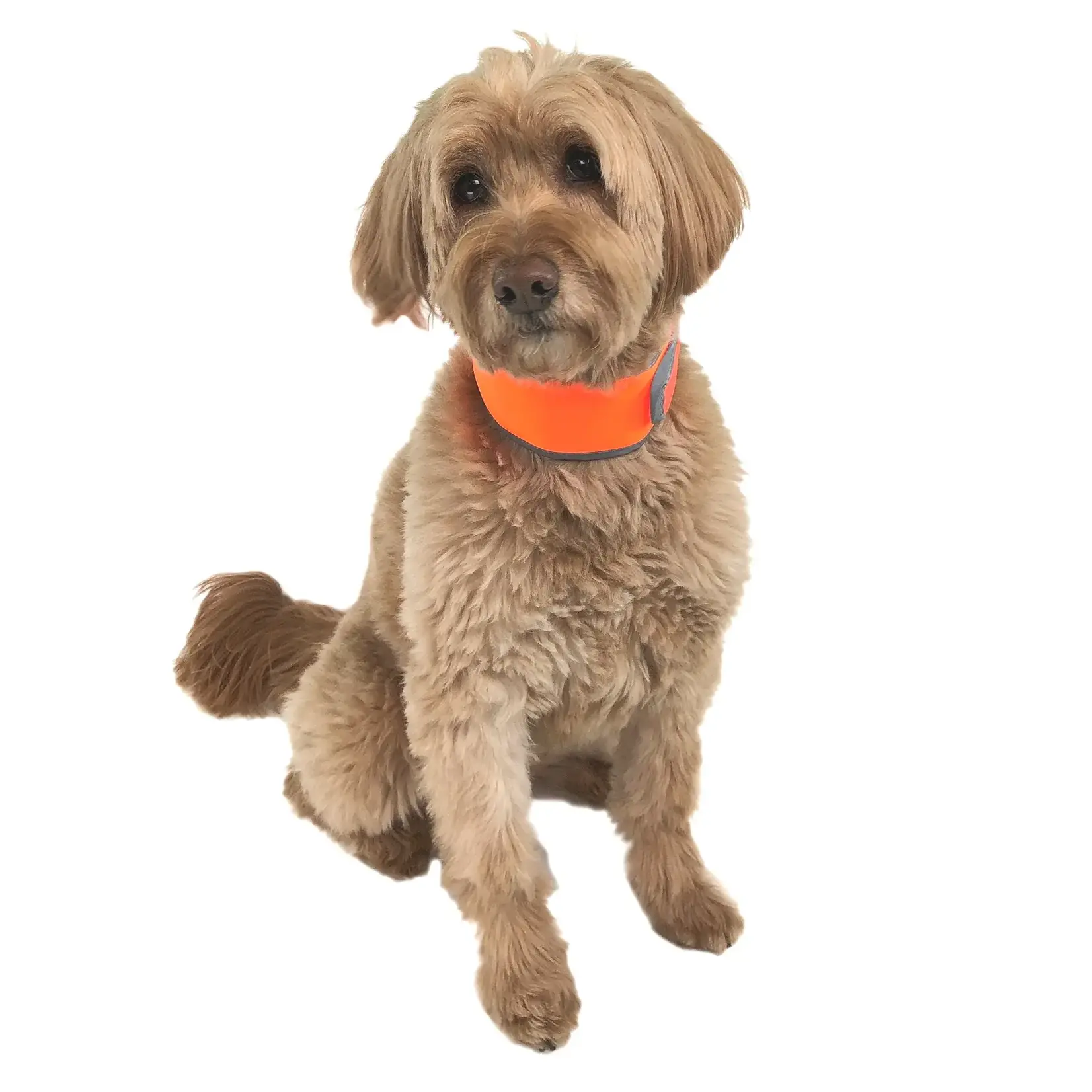 Cooling Collar Reflective Orange