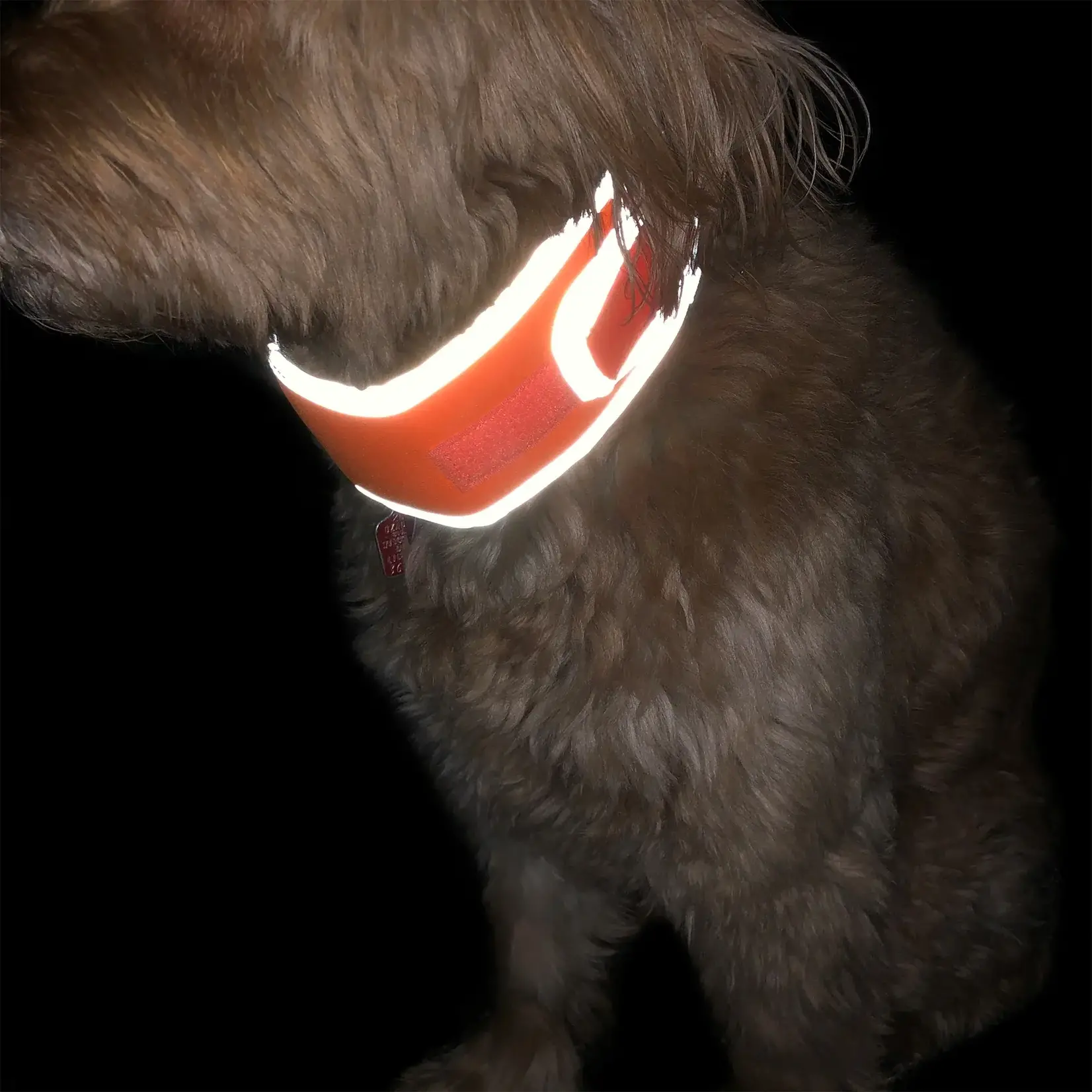 Cooling Collar Reflective Orange