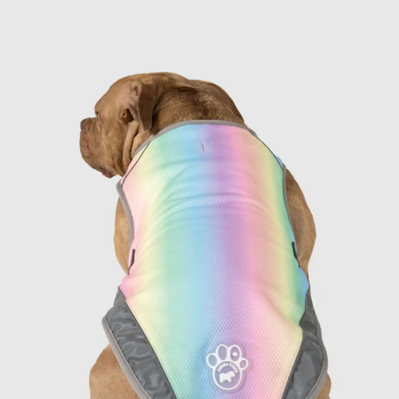 Canada Pooch Canada Pooch Cooling Vest Rainbow