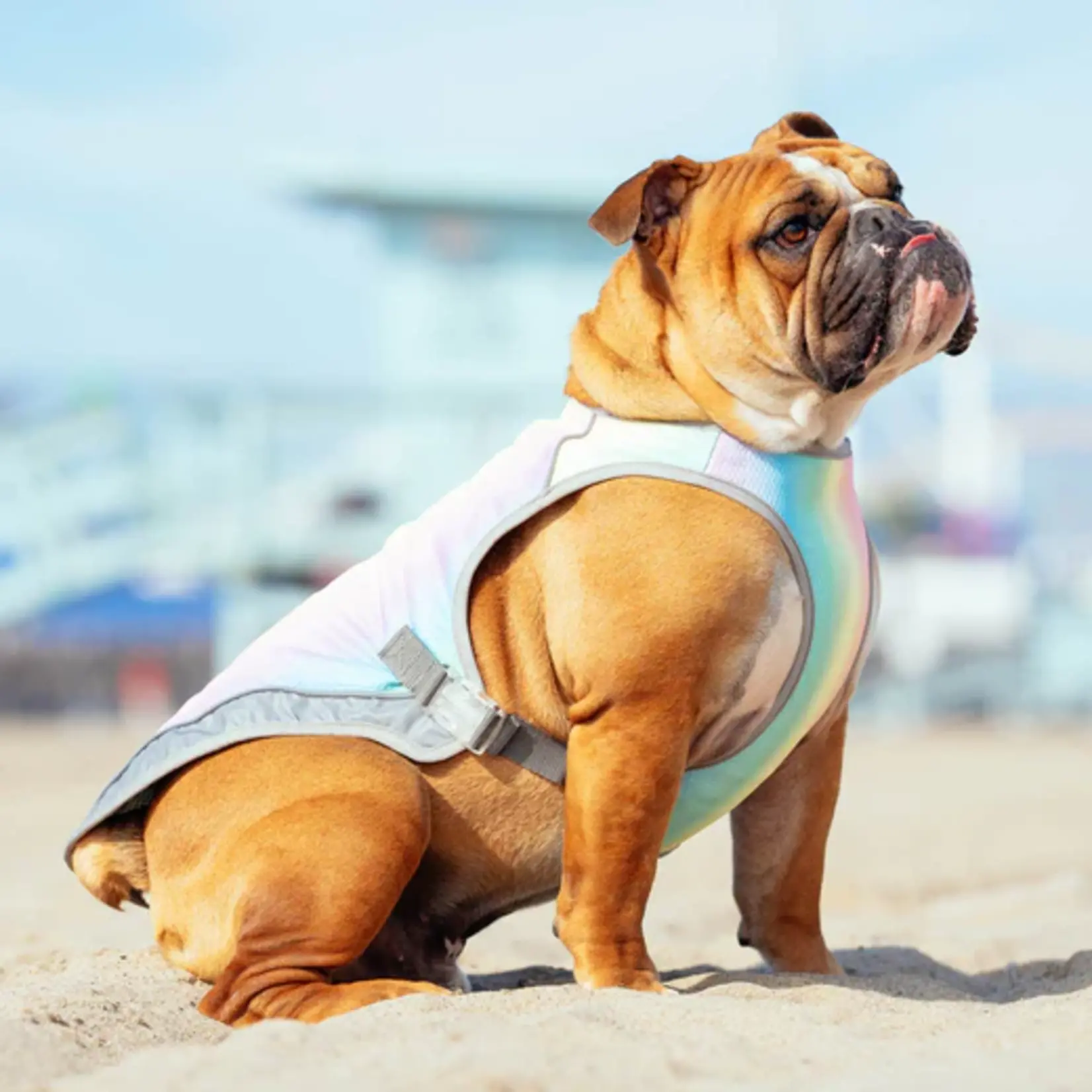 Canada Pooch Canada Pooch Cooling Vest Rainbow