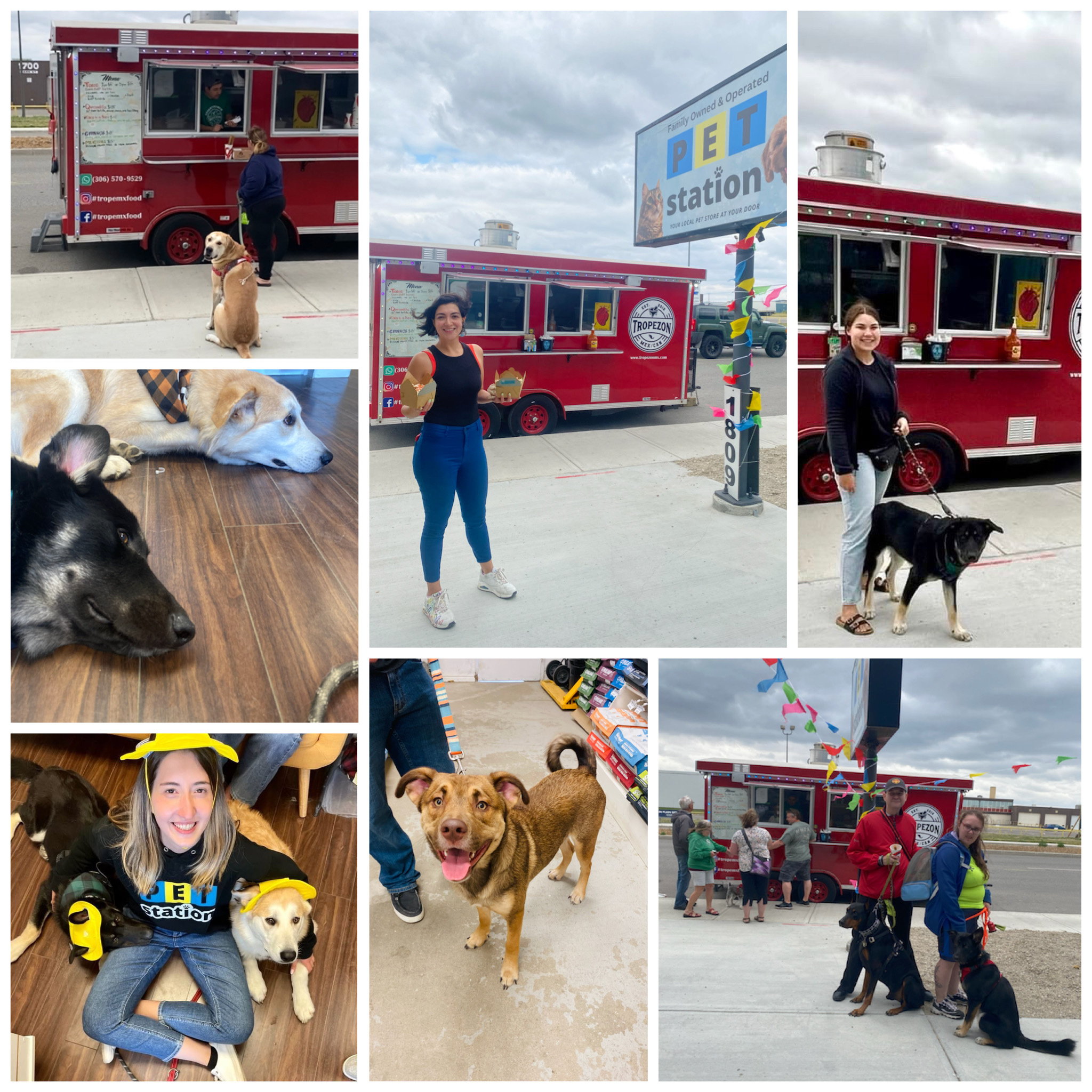 Pet Station's 2nd annual Pet Expo - CTV Evening News