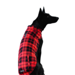 Canada Pooch Canada Pooch Thermal Tech Sweater Red Plaid