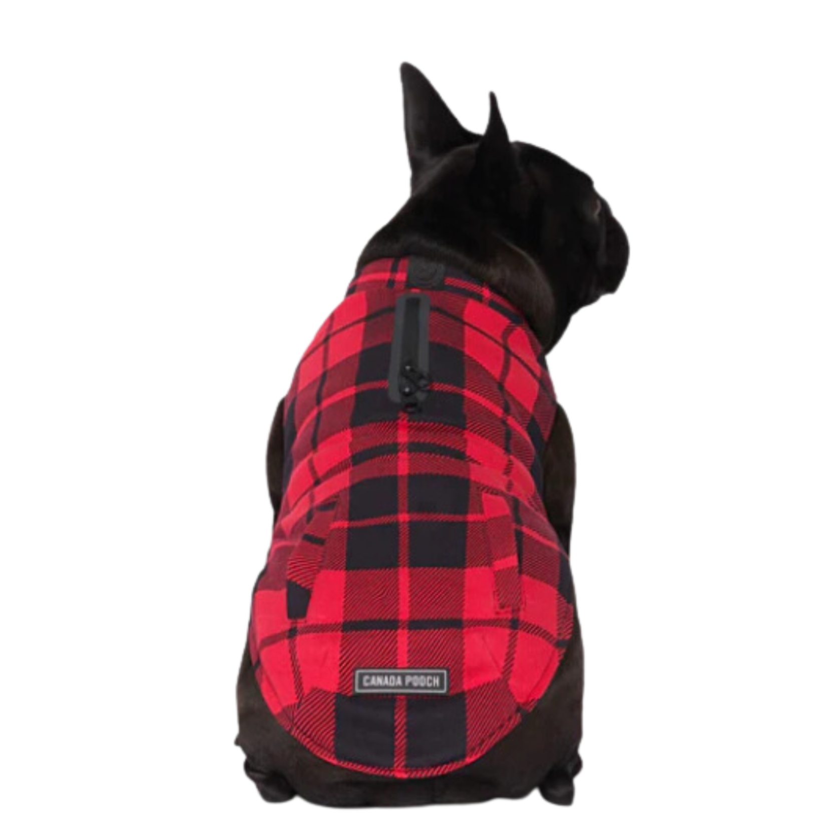 Canada Pooch Canada Pooch Thermal Tech Sweater Red Plaid