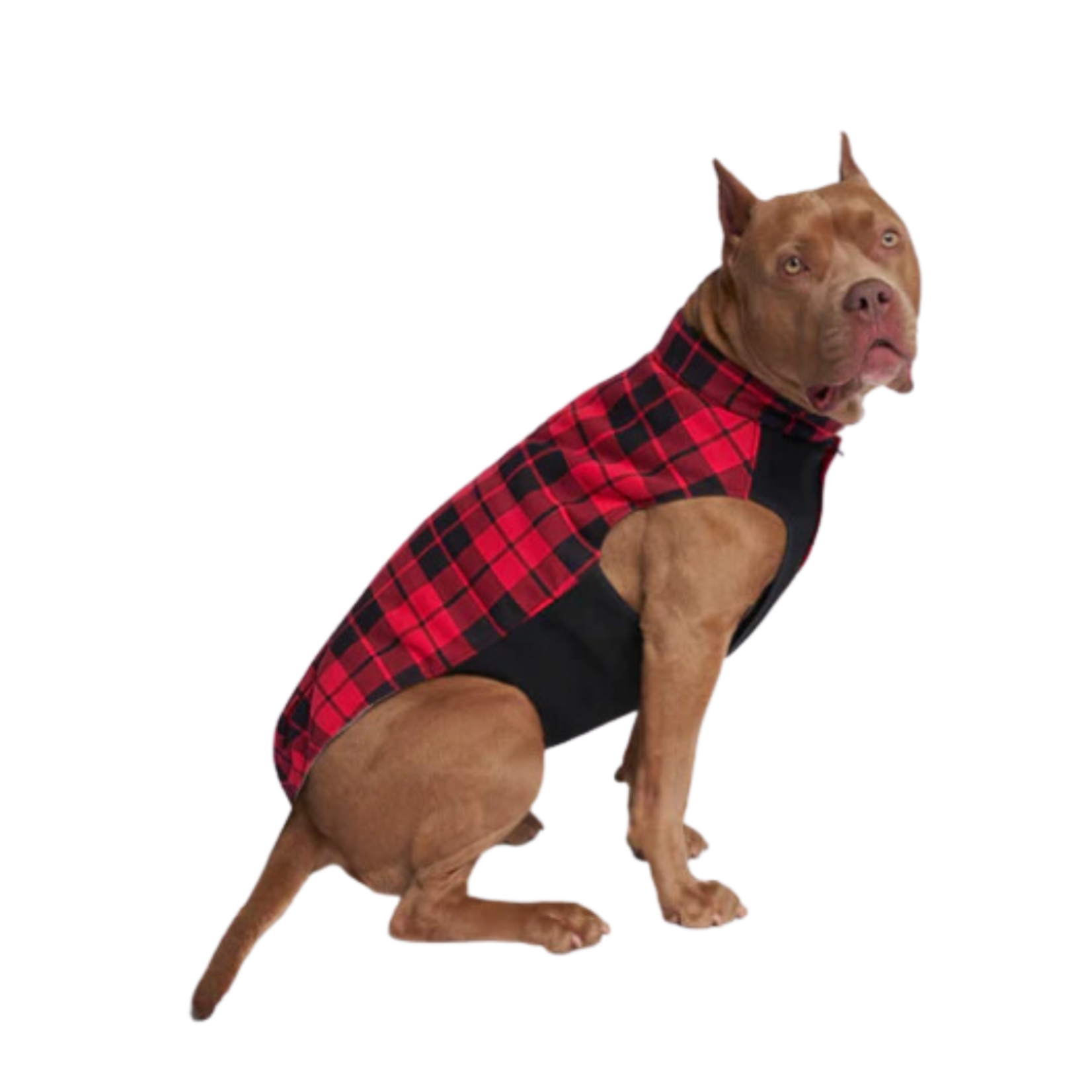 Canada Pooch Canada Pooch Thermal Tech Sweater Red Plaid