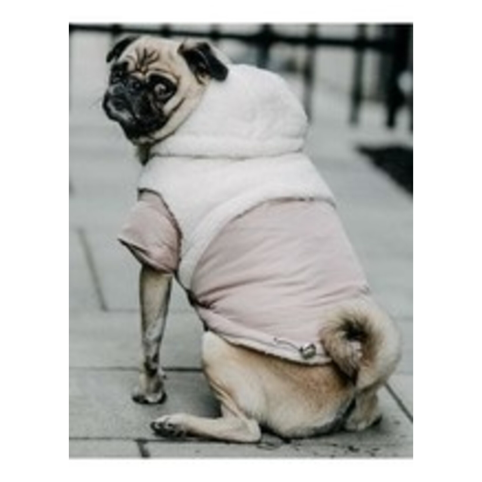 Quilt leather Jacket Hoodie Tan