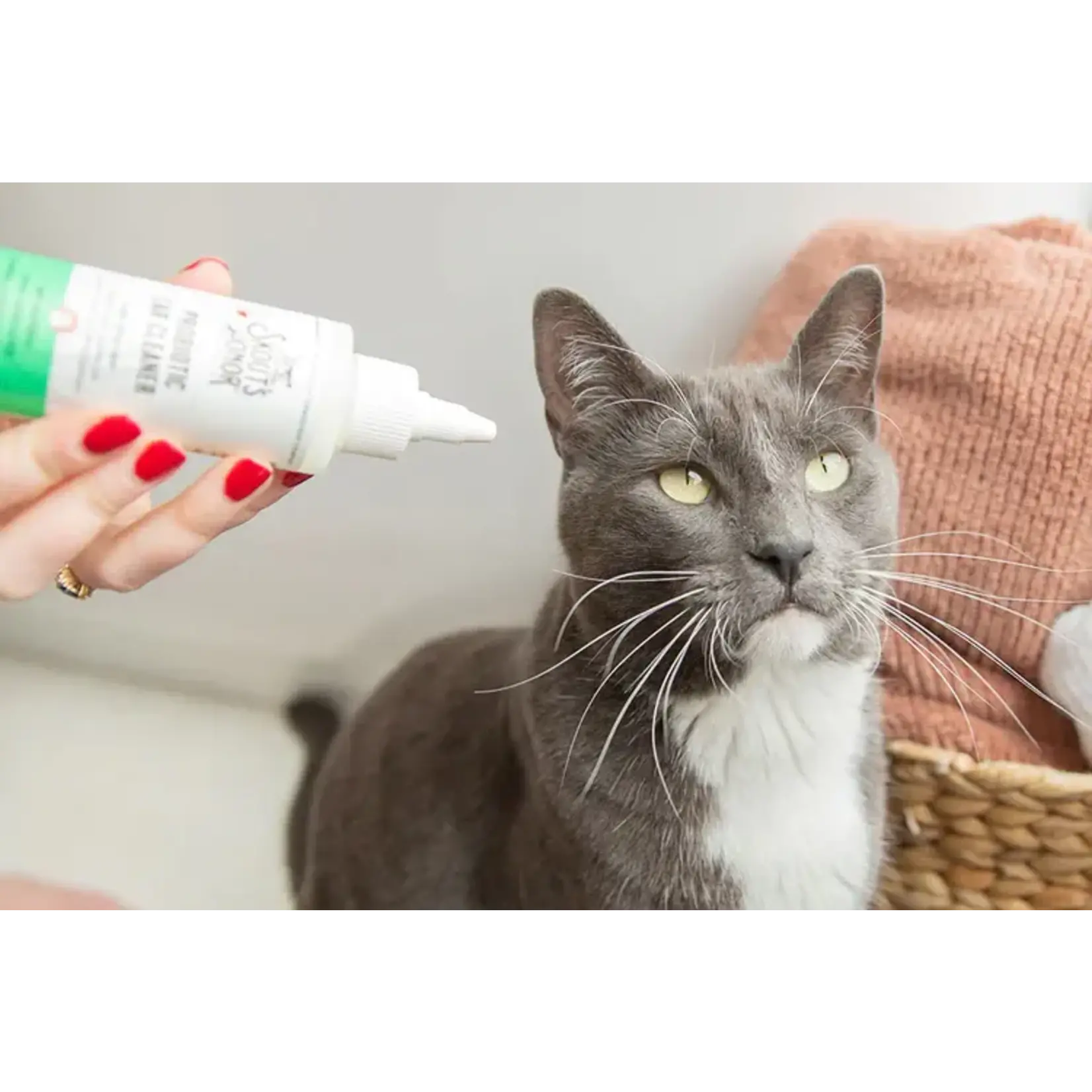 Skout's Honor Skout's Honer Probiotic Cat Ear Cleaner