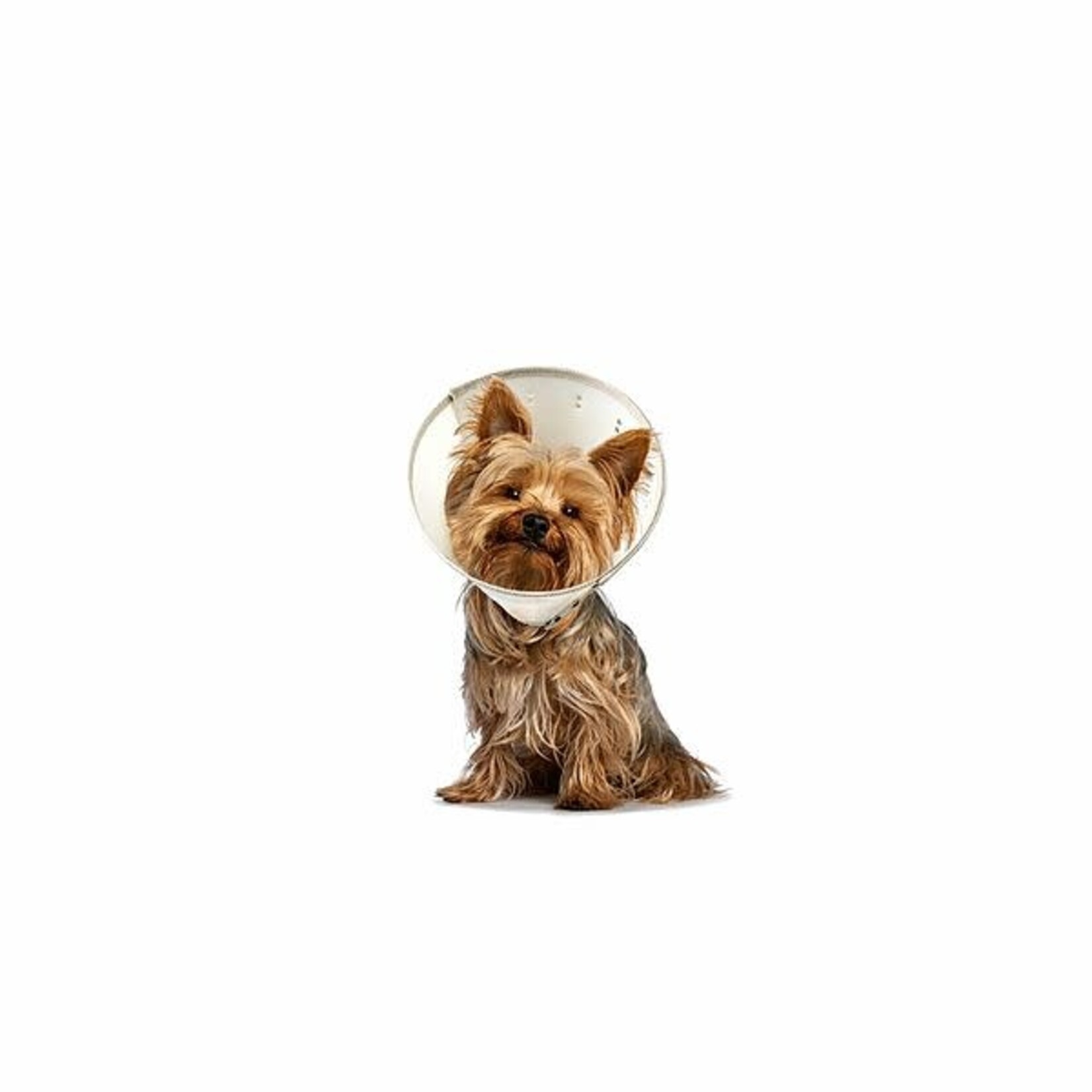 Adjustable Surgery Cone