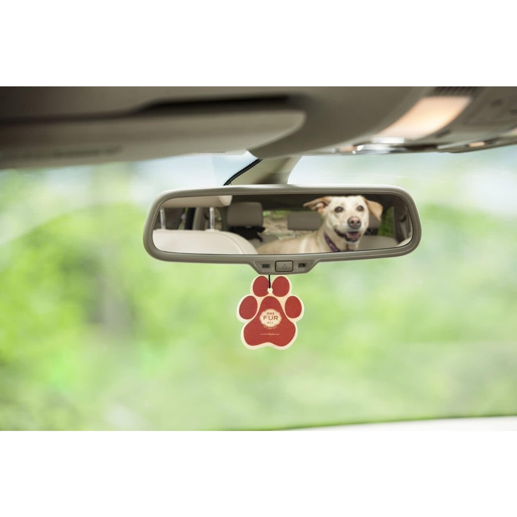 Car Air Freshener