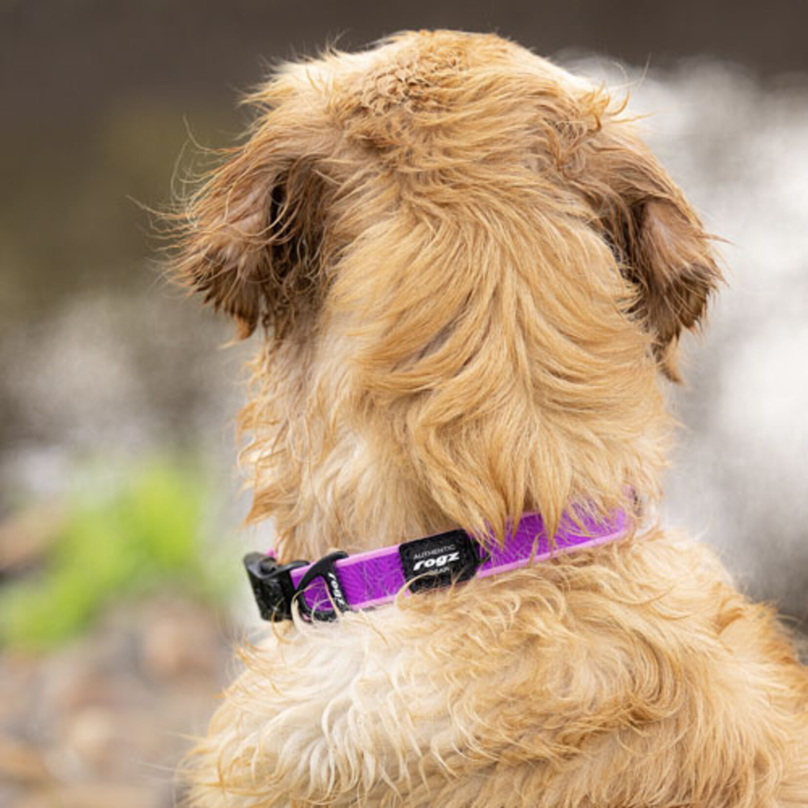 Rogz Rog  Amphibian Collar Purple