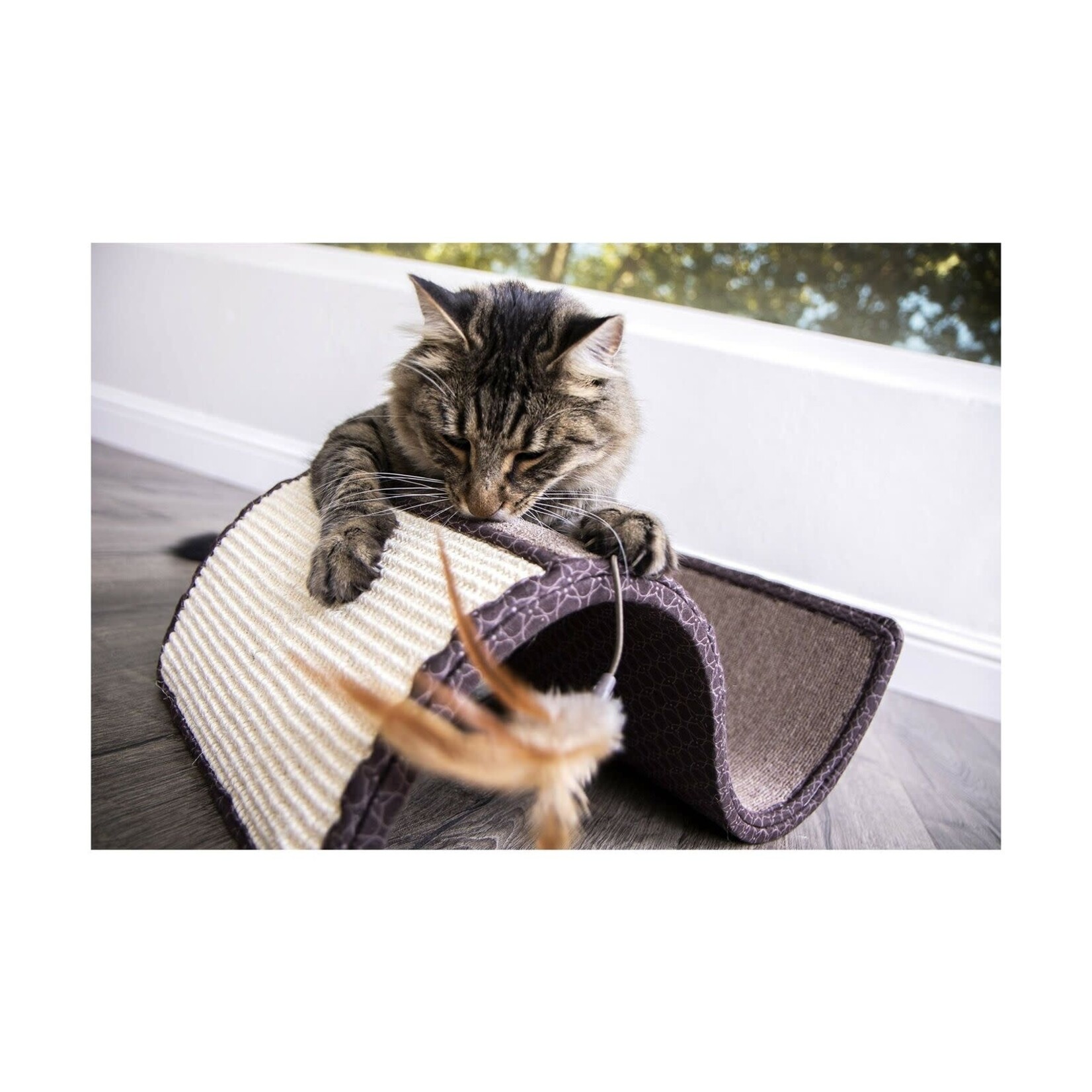 Smarty Kat Scratch Scroll