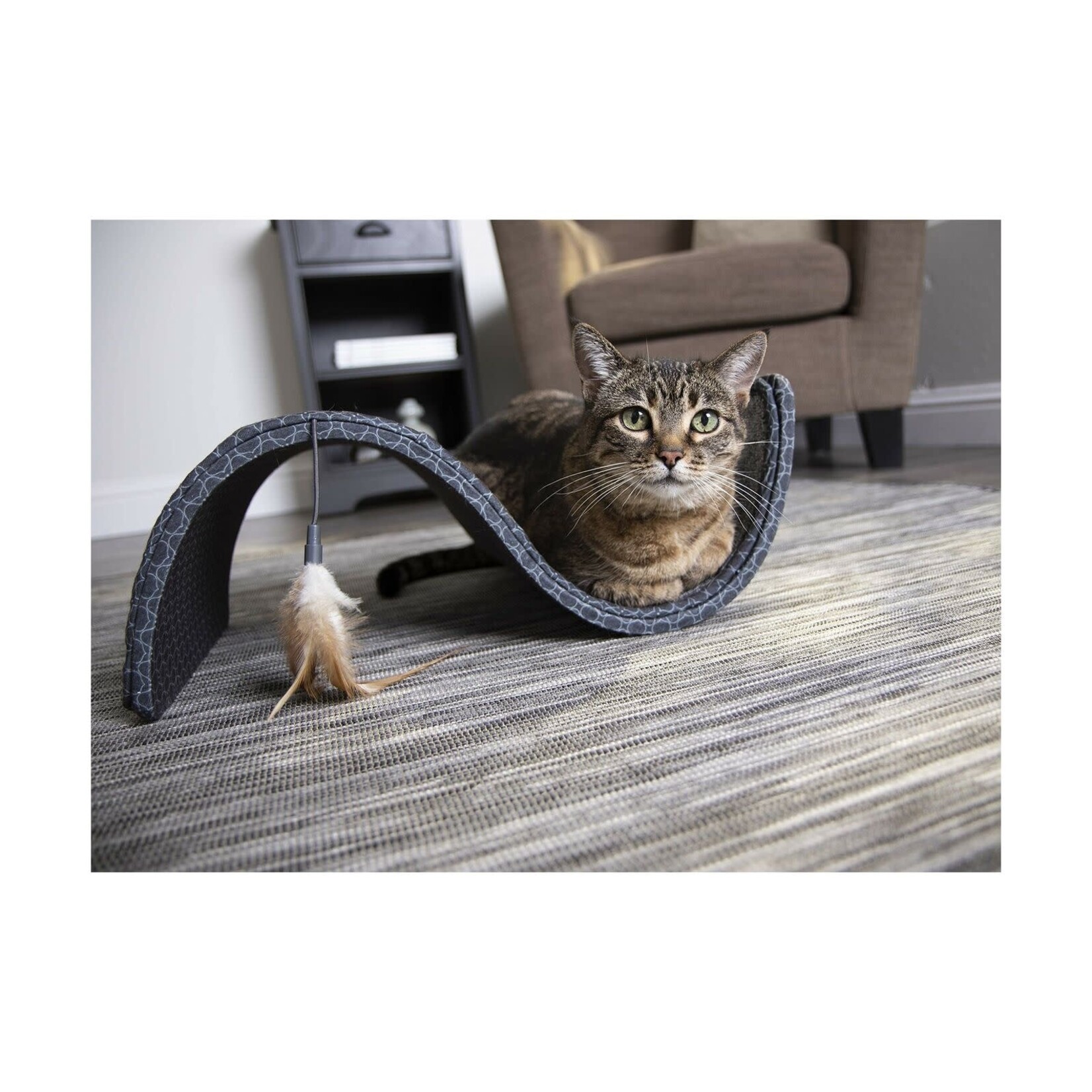 Smarty Kat Scratch Scroll