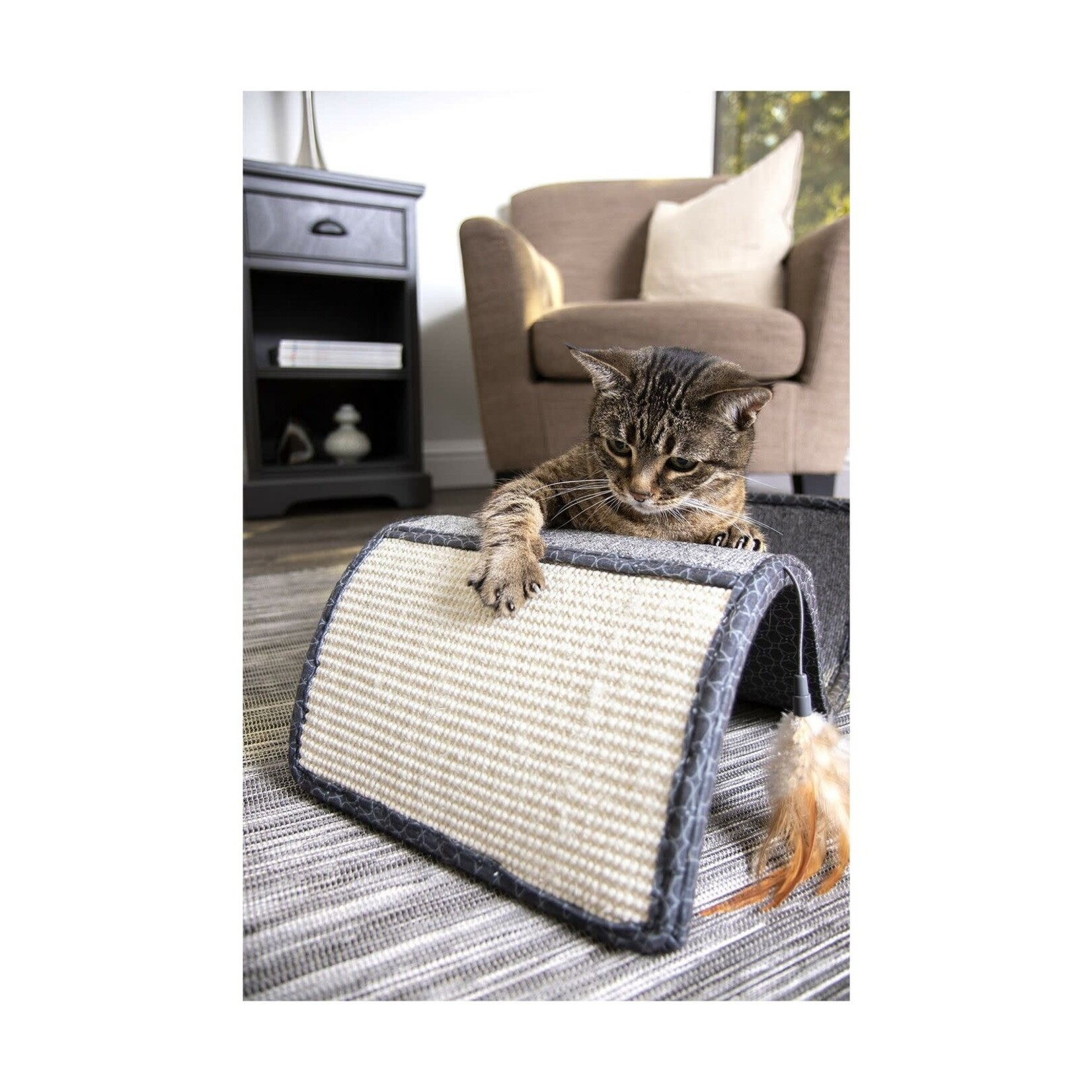 Smarty Kat Scratch Scroll