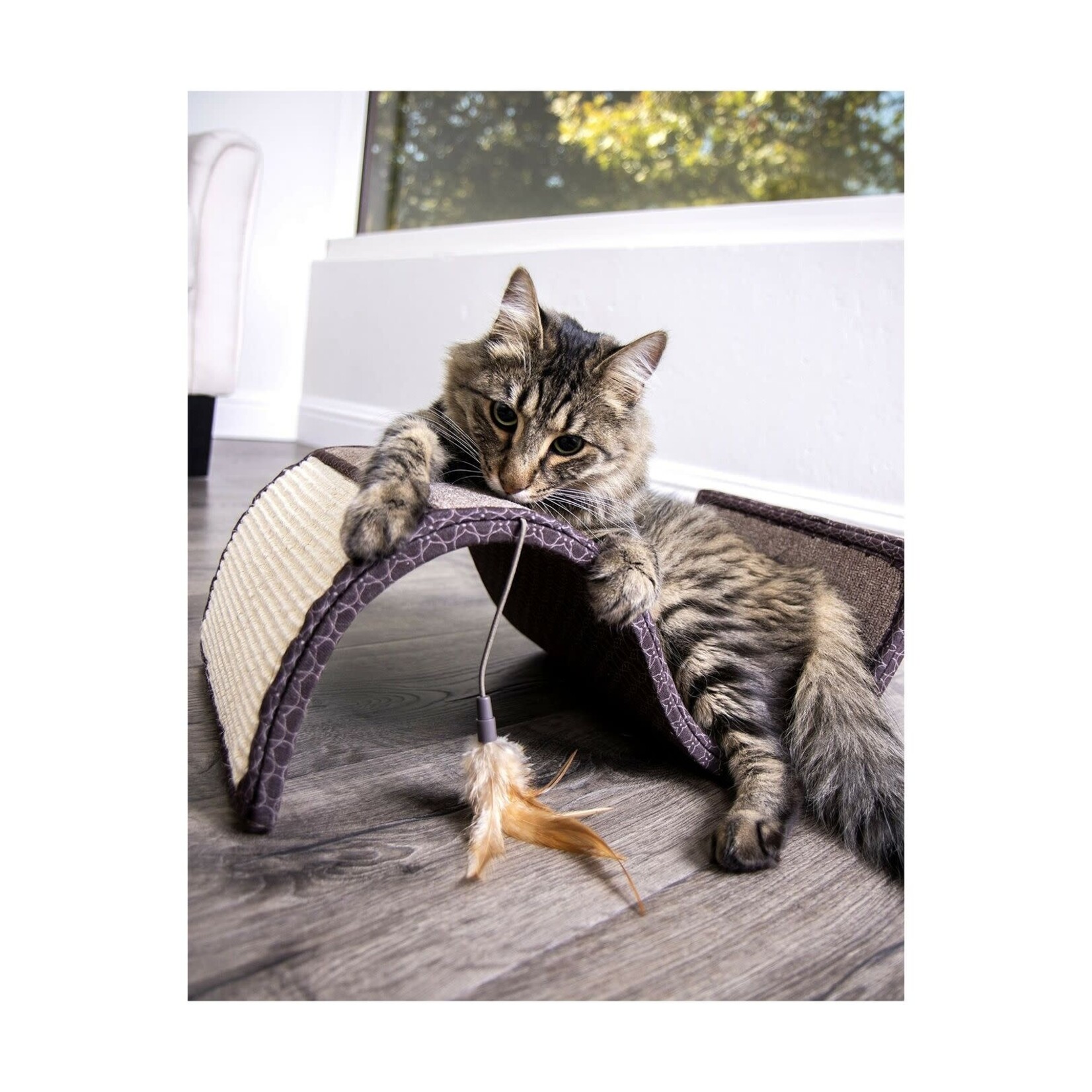 Smarty Kat Scratch Scroll