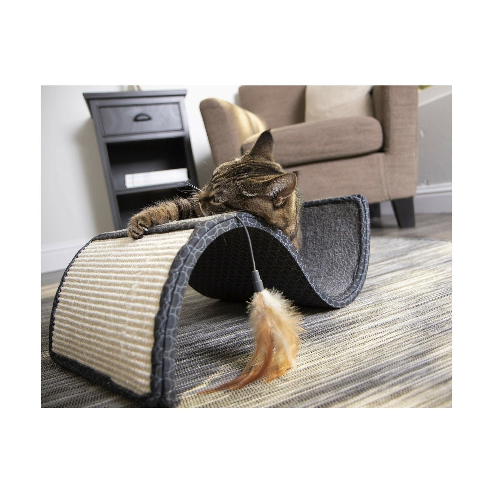 Smarty Kat Scratch Scroll