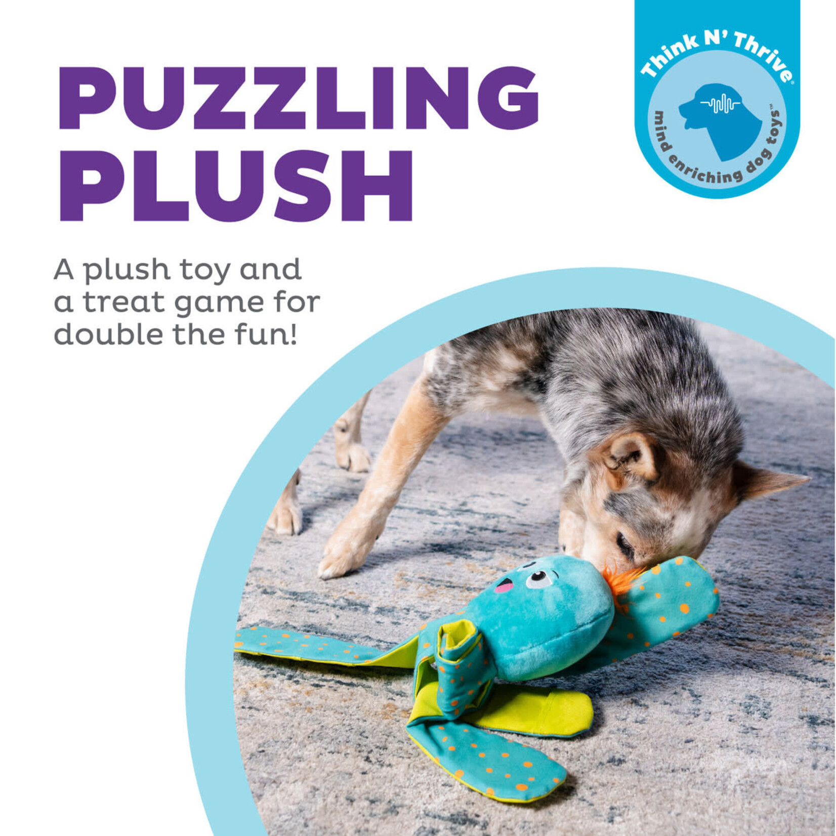 Mind game toys for dogs online