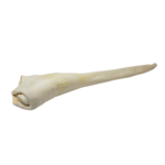 Open Range Open Range full length bull tail Very long lasting