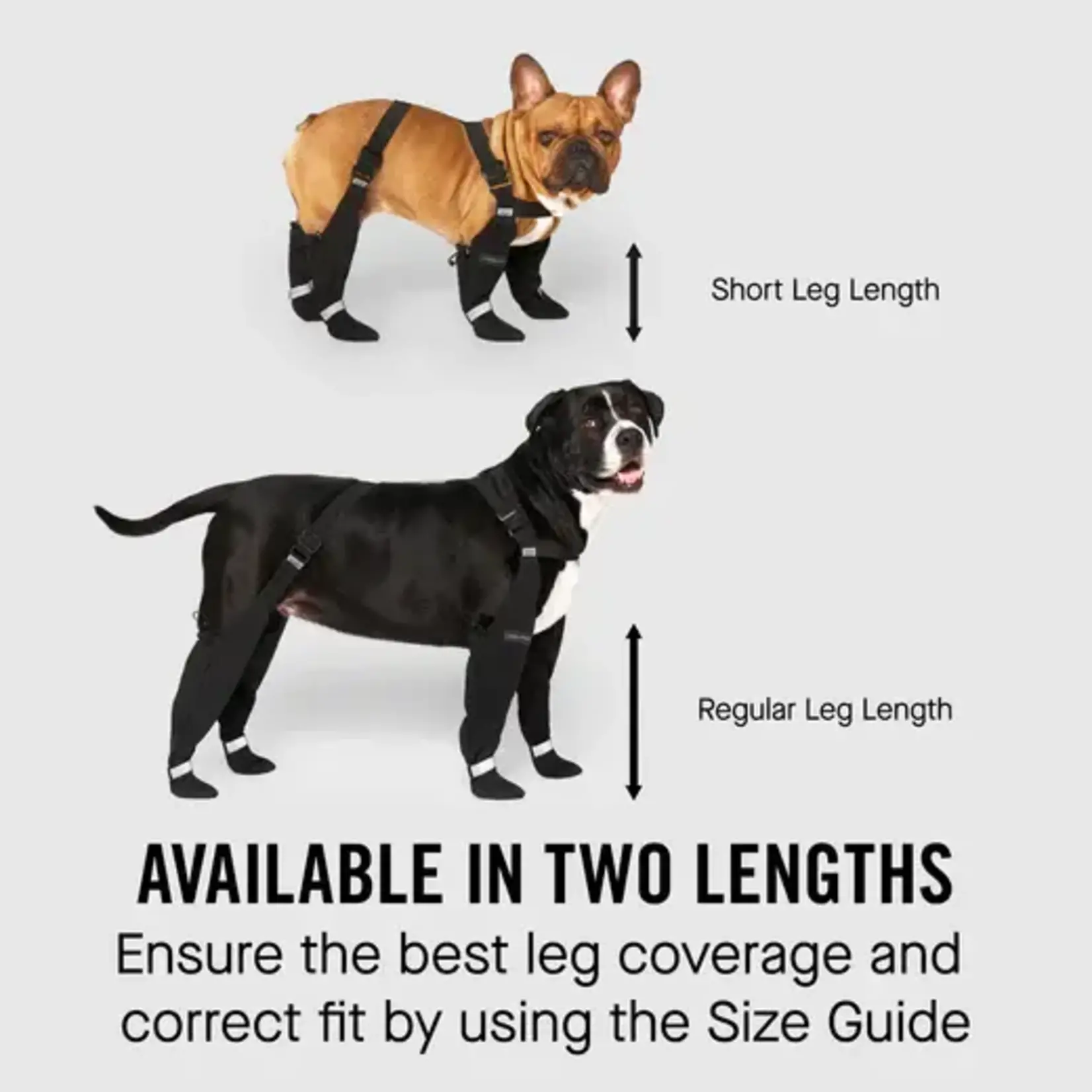 Canada Pooch Canada Pooch Suspender Boots REGULAR Leg Length  Black