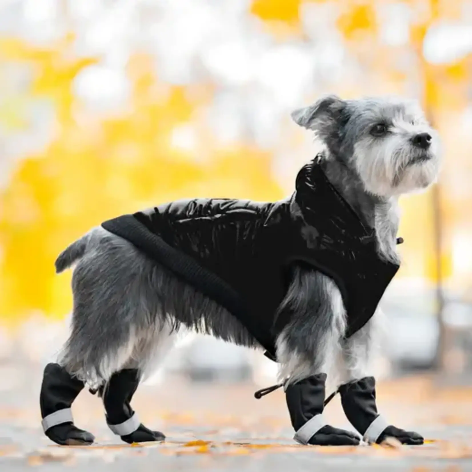 Canada Pooch Soft Shield Boots Black Pet Station
