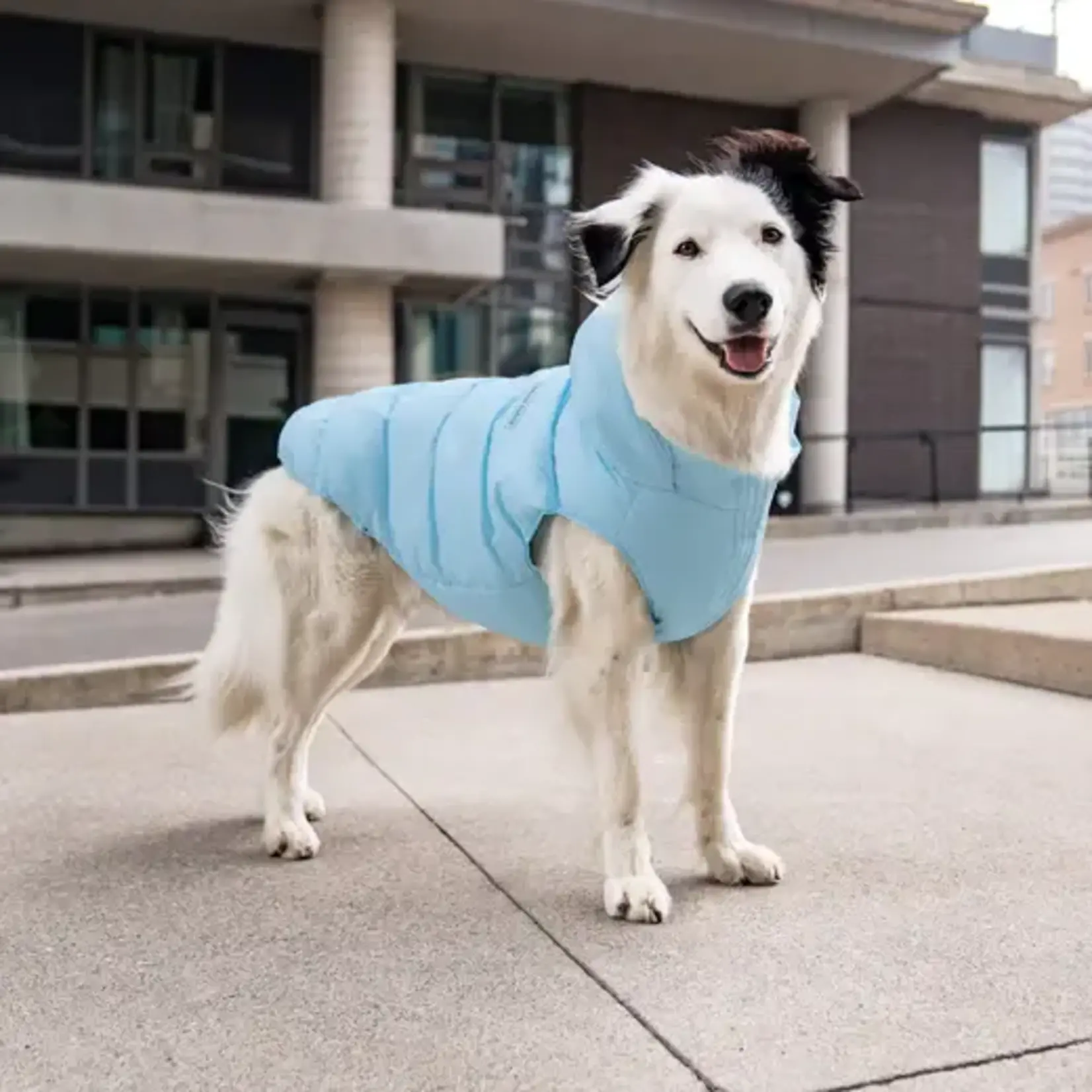 Canada Pooch Canada Pooch The Waterproof Puffer Ice Blue