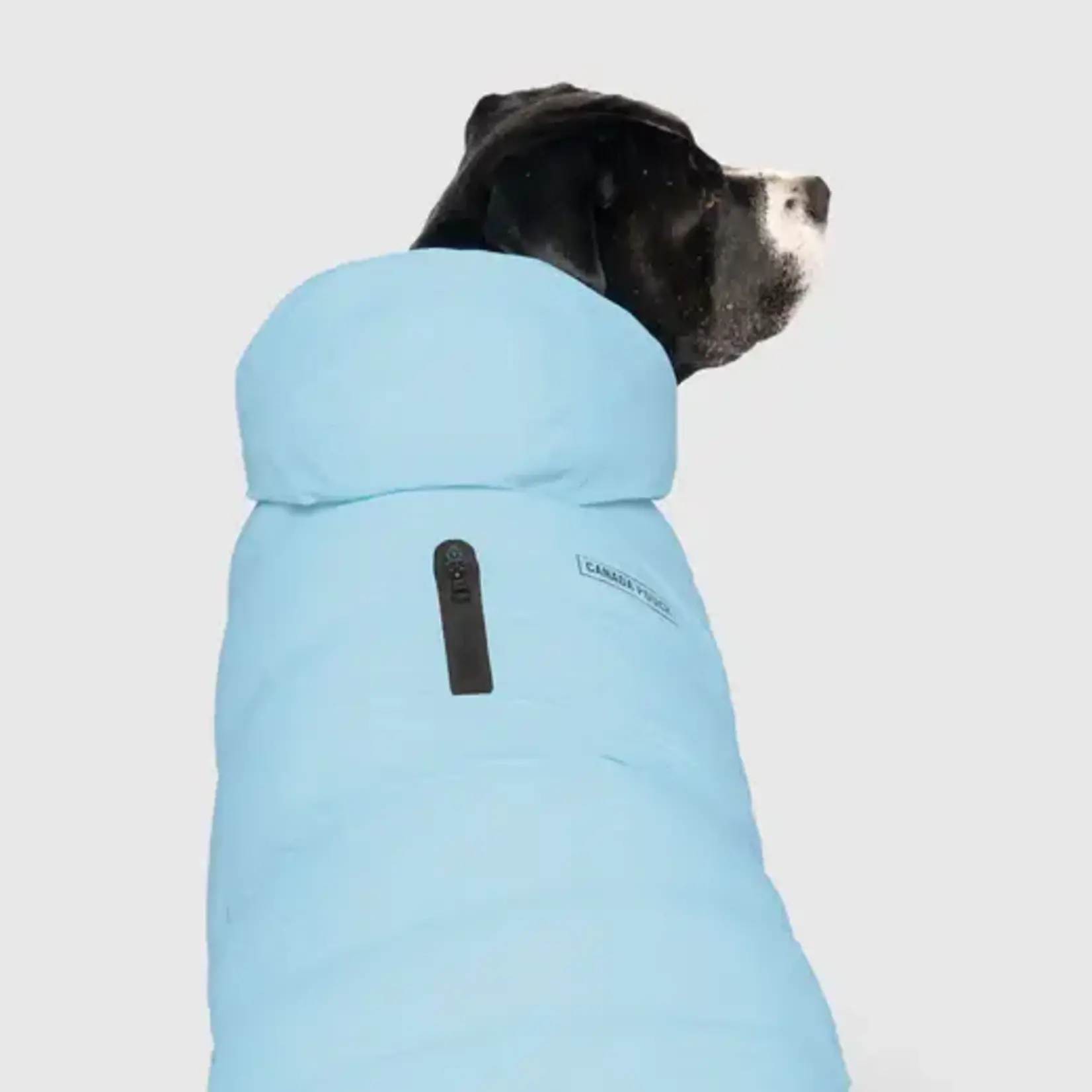 Canada Pooch Canada Pooch The Waterproof Puffer Ice Blue