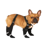 Canada Pooch Canada Pooch Suspender Boots SHORT Leg Length Black