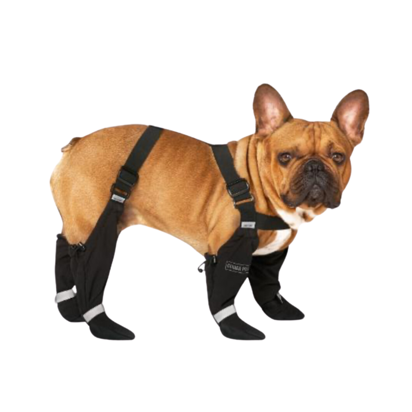 Canada Pooch Canada Pooch Suspender Boots SHORT Leg Length Black