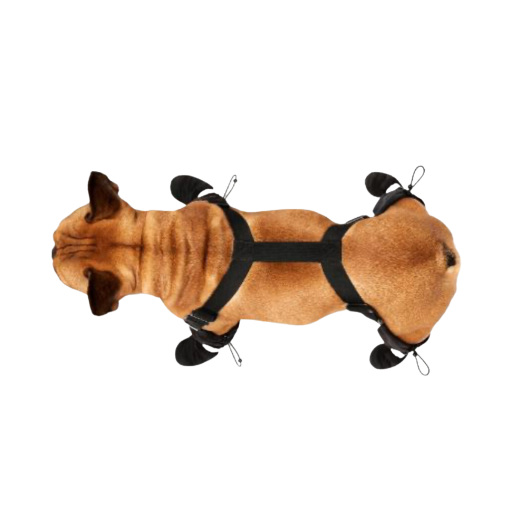 Canada Pooch Canada Pooch Suspender Boots SHORT Leg Length Black